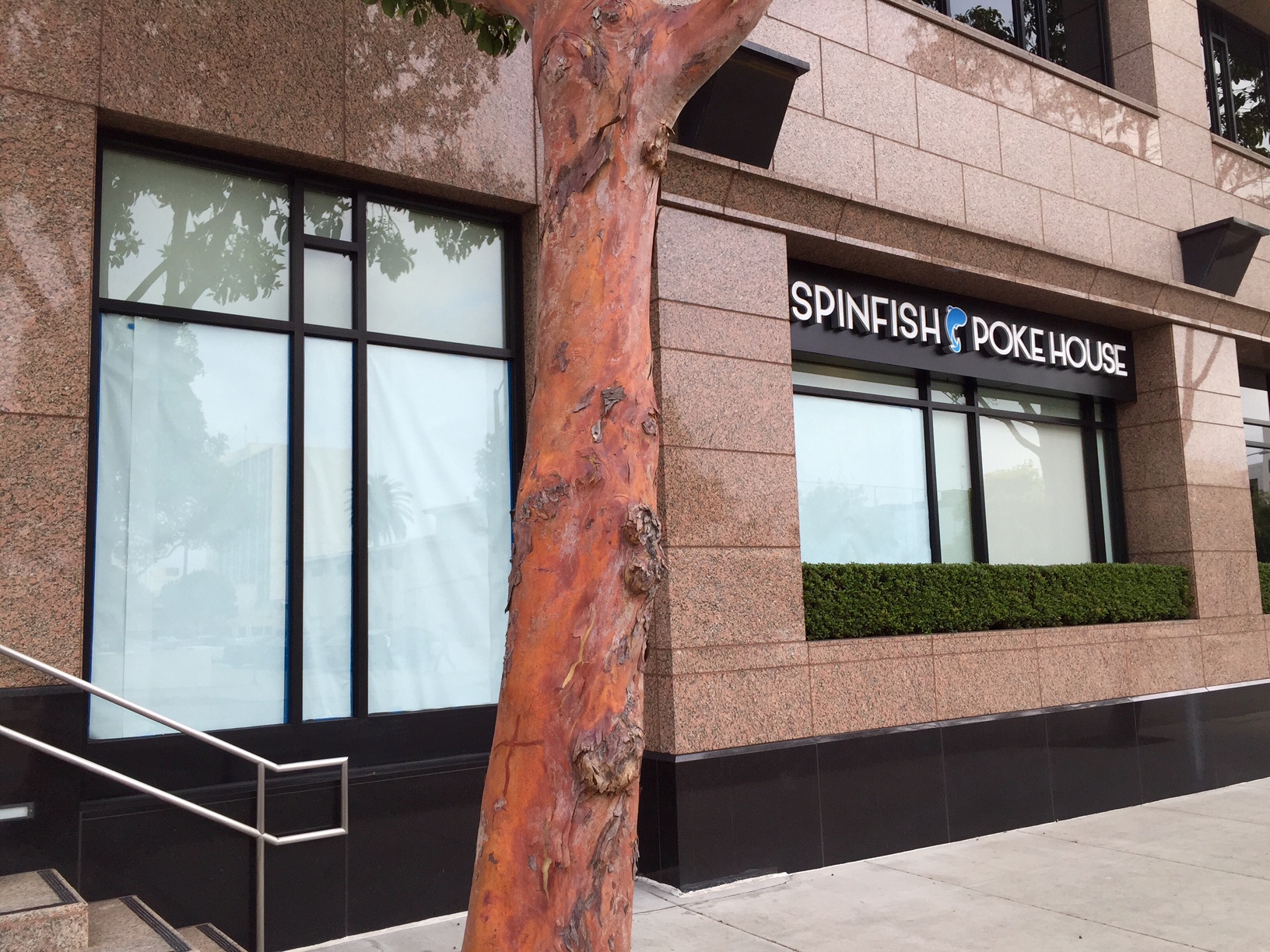 SpinfishPokeHouse