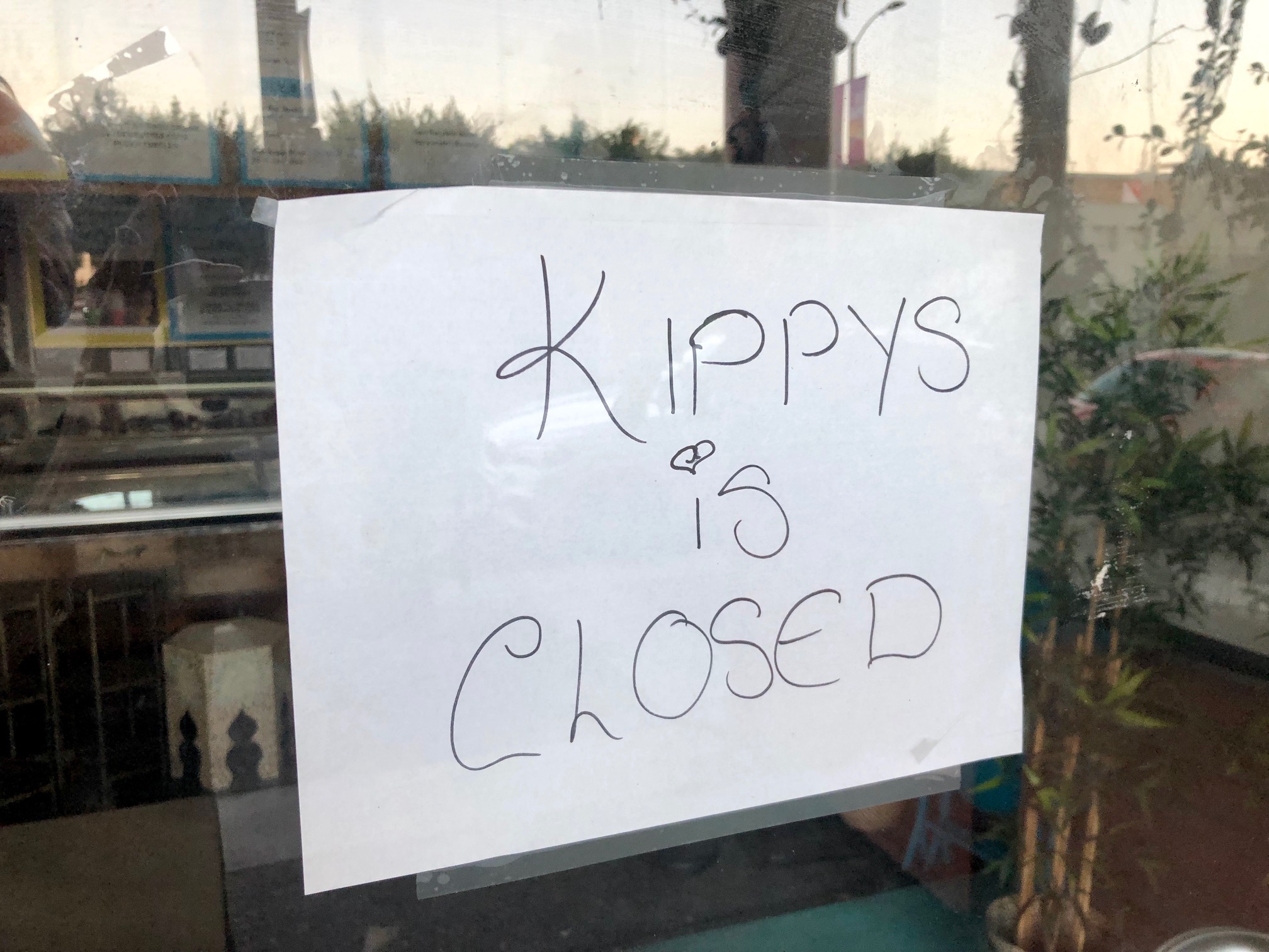 kippys2.jpg
